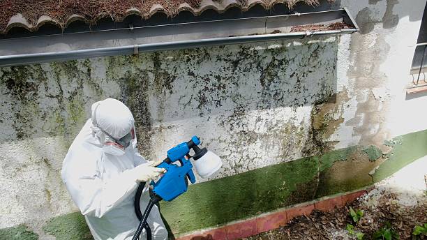 Top rated local Attic Mold Remediation specialists in Hiram, GA